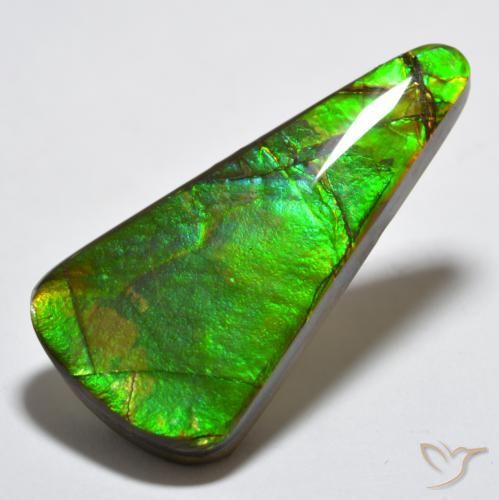 amolita Multicolorido Natural 15.83ct, Trilhão, Opaco