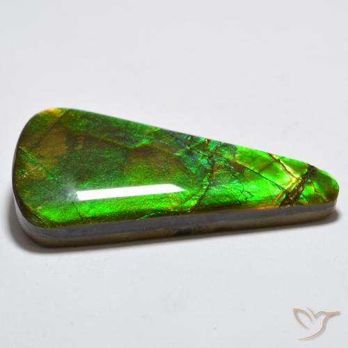 amolita Multicolorido Natural 15.83ct, Trilhão, Opaco