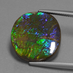 Ammolita multicolorido natural 16,73ct, corte oval, opaco