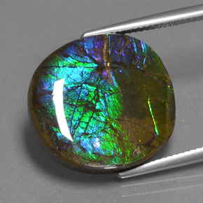 Ammolita multicolorido natural 16,73ct, corte oval, opaco