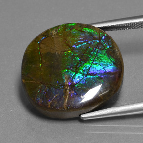 Ammolita multicolorido natural 16,73ct, corte oval, opaco
