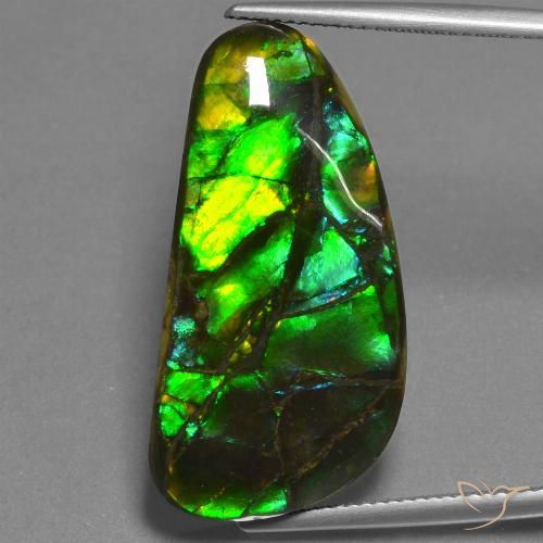23.45ct Natural Multicolorido amolita, Chique, Opaco