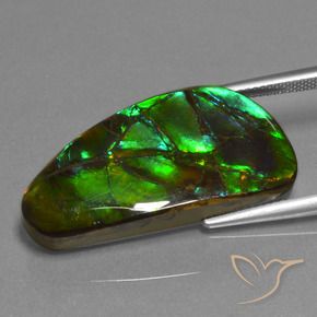 amolita Multicolorido Natural 23.45ct, Chique, Opaco