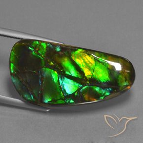 amolita Multicolorido Natural 23.45ct, Chique, Opaco