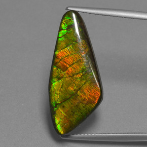 Ammolita multicolorido natural 15,14ct, forma extravagante, opaco