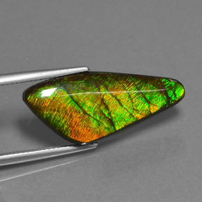 Ammolita multicolorido natural 15,14ct, forma extravagante, opaco