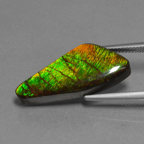 Ammolita multicolorido natural 15,14ct, forma extravagante, opaco
