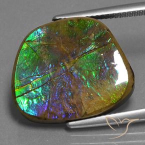 amolita Multicolorido Natural 14.96ct, Chique, Opaco