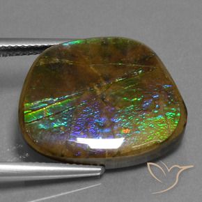 amolita Multicolorido Natural 14.96ct, Chique, Opaco