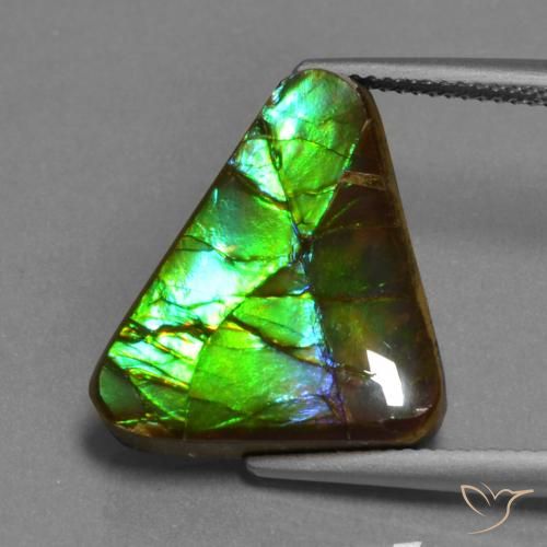 11.30ct Natural Multicolorido amolita, Trilhão, Opaco