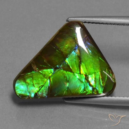 amolita Multicolorido Natural 11.30ct, Trilhão, Opaco