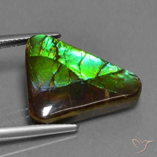 amolita Multicolorido Natural 11.30ct, Trilhão, Opaco
