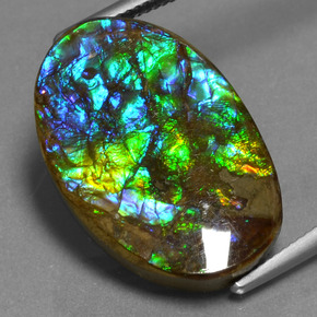 Amolita Multicolorido Natural 15.25ct, Corte Oval, Opaco