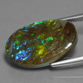 Amolita Multicolorido Natural 15.25ct, Corte Oval, Opaco