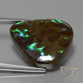 amolita Multicolorido Natural 16.77ct, Formato de pêra, Opaco