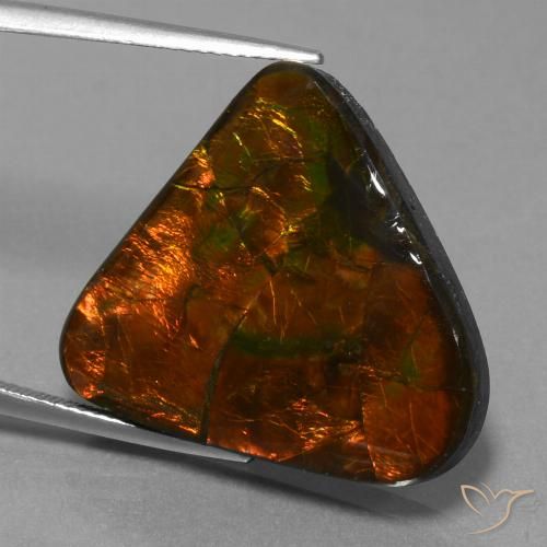 22.44ct Natural Multicolorido amolita, Trilhão, Opaco