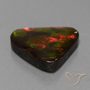 amolita Multicolorido Natural 22.44ct, Trilhão, Opaco