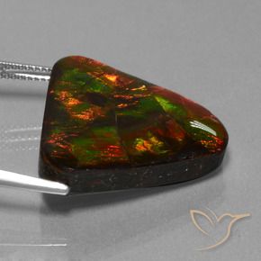 amolita Multicolorido Natural 22.44ct, Trilhão, Opaco