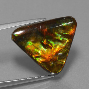 Ammolita multicolorido natural 11,38ct, trillion, opaco