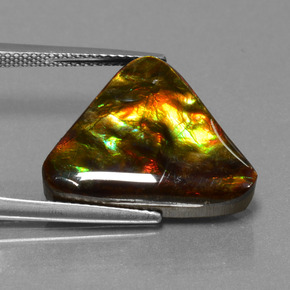 Ammolita multicolorido natural 11,38ct, trillion, opaco
