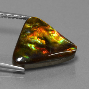 Ammolita multicolorido natural 11,38ct, trillion, opaco