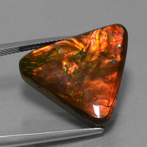 Ammolita multicolorido natural 14,28ct, trillion, opaco