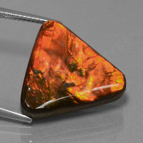 Ammolita multicolorido natural 14,28ct, trillion, opaco