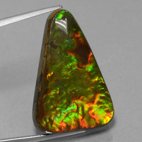 Ammolita multicolorido natural 20,75ct, trillion, opaco