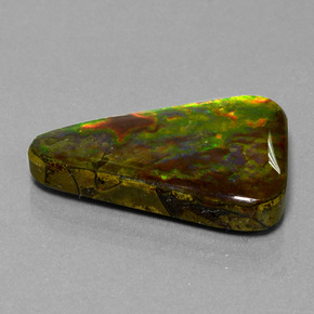 Ammolita multicolorido natural 20,75ct, trillion, opaco