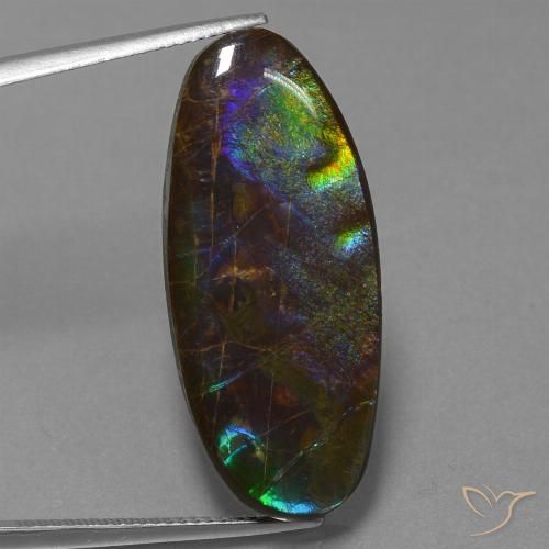 22.01ct Natural Multicolorido amolita, oval, Opaco