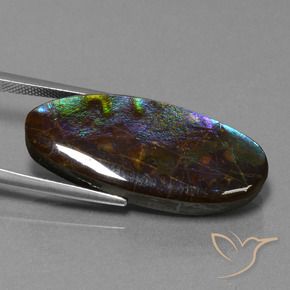 amolita Multicolorido Natural 22.01ct, oval, Opaco
