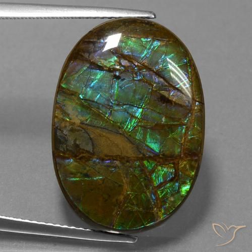 18.60ct Natural Multicolorido amolita, oval, Opaco