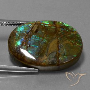 amolita Multicolorido Natural 18.60ct, oval, Opaco