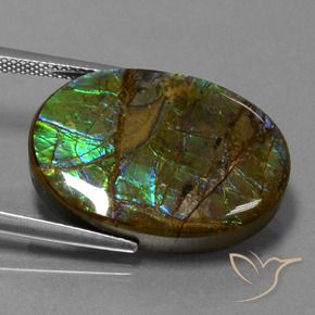 amolita Multicolorido Natural 18.60ct, oval, Opaco