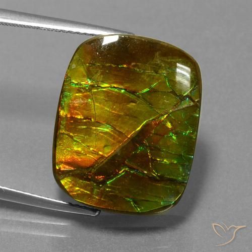 14.83ct Natural Multicolorido amolita, Almofada, Opaco