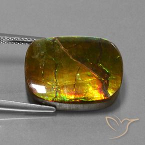 amolita Multicolorido Natural 14.83ct, Almofada, Opaco