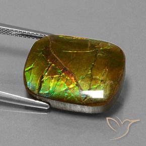 amolita Multicolorido Natural 14.83ct, Almofada, Opaco