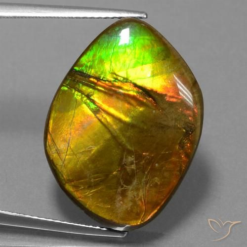 16.27ct Natural Multicolorido amolita, Chique, Opaco