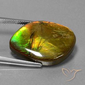 amolita Multicolorido Natural 16.27ct, Chique, Opaco