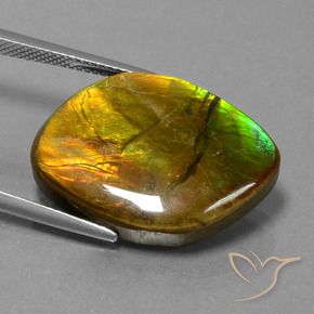 amolita Multicolorido Natural 16.27ct, Chique, Opaco