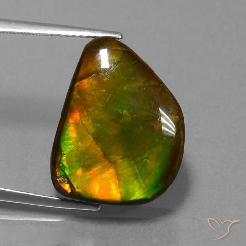 13.25ct Natural Multicolorido amolita, Chique, Opaco