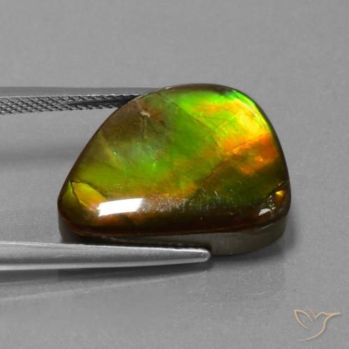 amolita Multicolorido Natural 13.25ct, Chique, Opaco