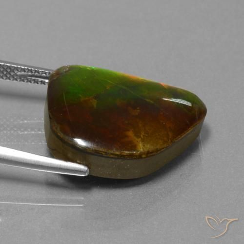 amolita Multicolorido Natural 13.25ct, Chique, Opaco