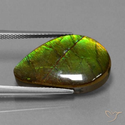 13.12ct Natural Multicolorido amolita, Chique, Opaco