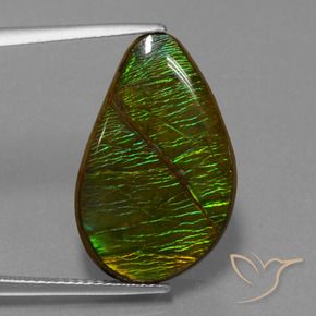amolita Multicolorido Natural 13.12ct, Chique, Opaco
