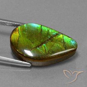 amolita Multicolorido Natural 13.12ct, Chique, Opaco