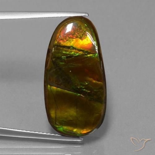 15.26ct Natural Multicolorido amolita, Chique, Opaco