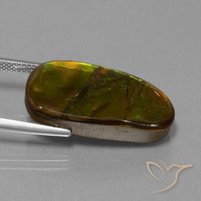 amolita Multicolorido Natural 15.26ct, Chique, Opaco
