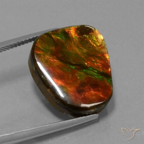 14.52ct Natural Multicolorido amolita, Chique, Opaco