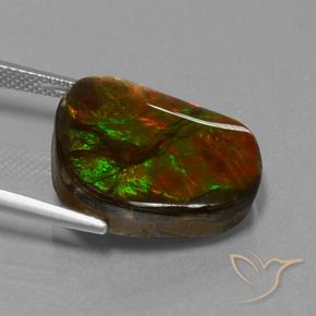 amolita Multicolorido Natural 14.52ct, Chique, Opaco